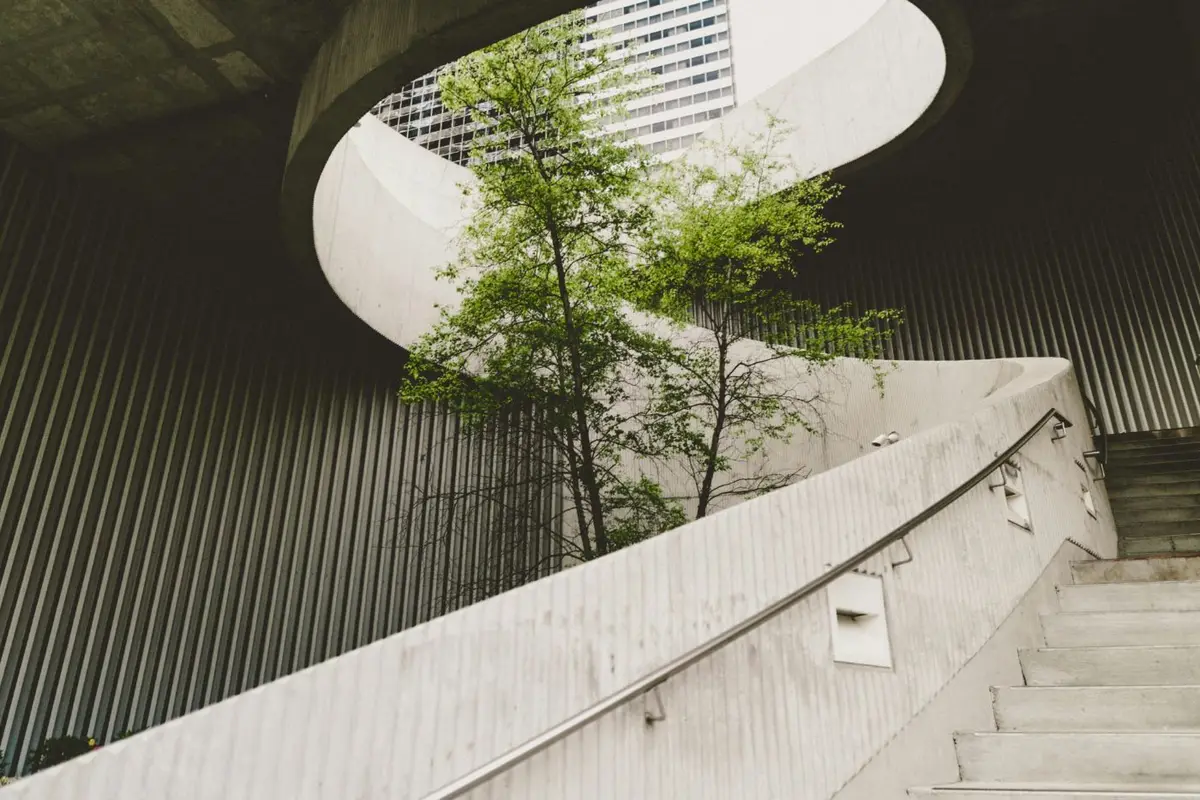Concrete spiral staircase with trees growing through it